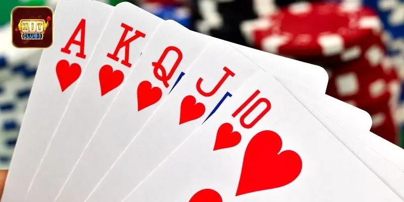 4 vòng cược cực dễ mà thành viên cần biết