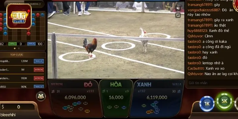 da ga hitclub voi nhieu cuoc chien gay can