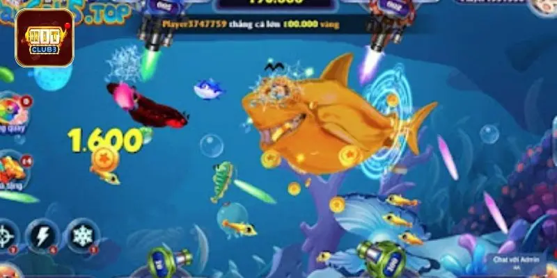 xac dinh gia tri cac loai ca khi san Xác định giá trị các loài cá khi săn